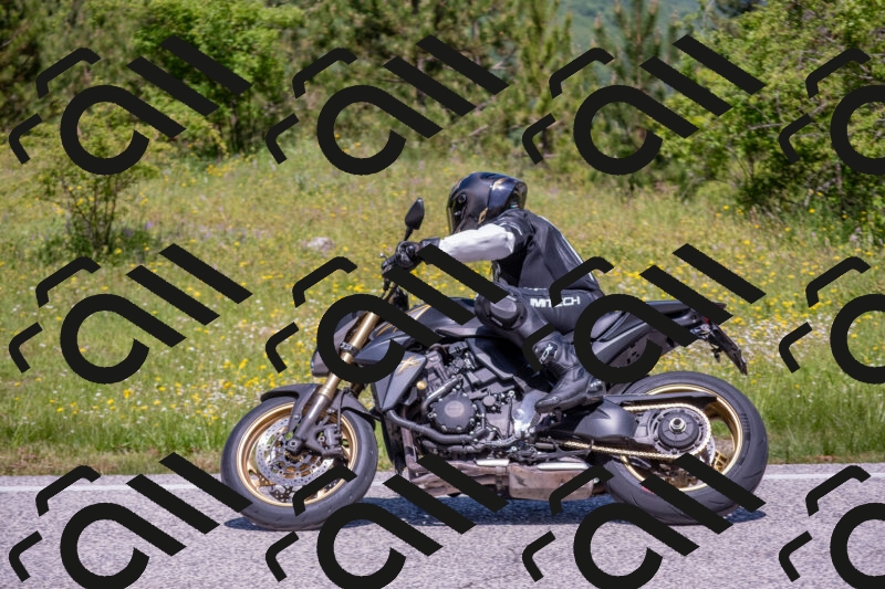 202506021147-DSC_8212_c4_