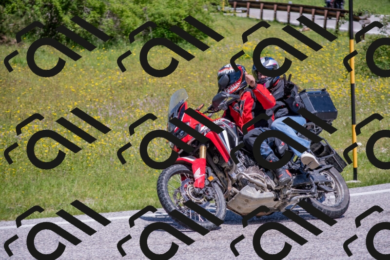 202506021147-DSC_8213_c4_