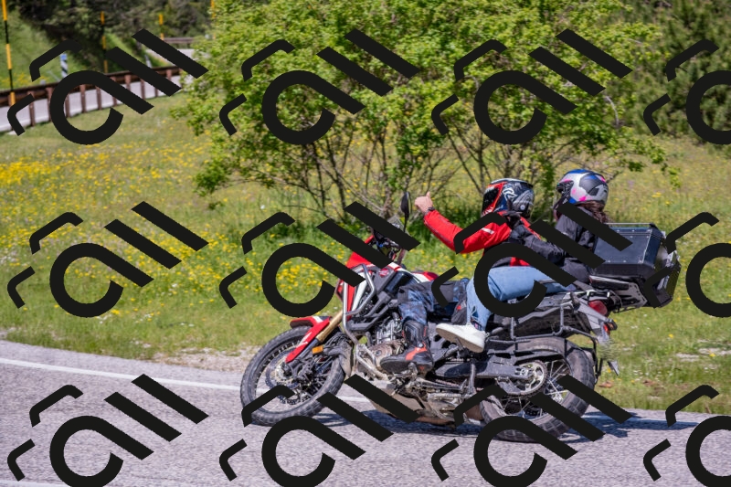 202506021147-DSC_8215_c4_