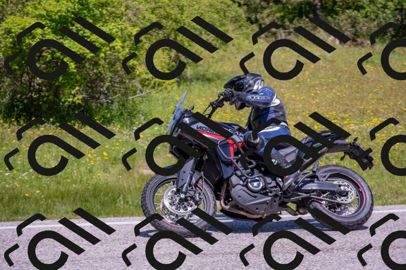 202506021147-DSC_8217_c4_