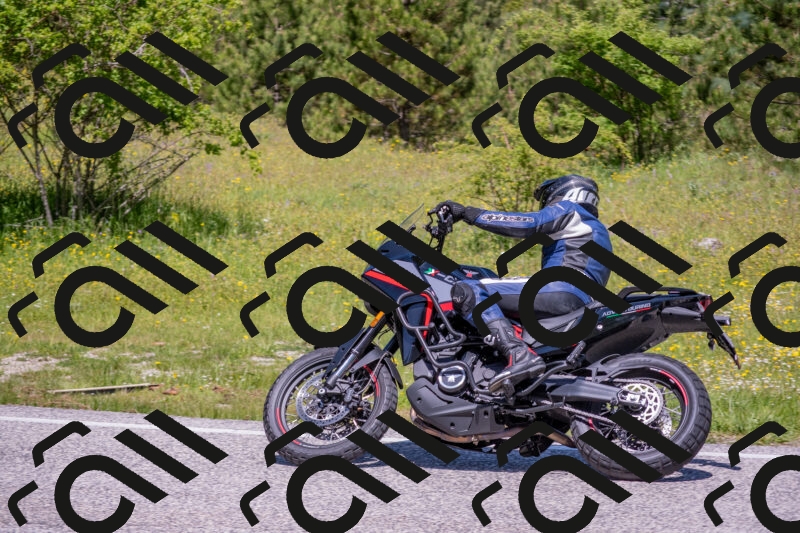 202506021147-DSC_8218_c4_