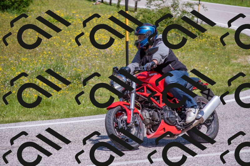 202506021147-DSC_8219_c4_