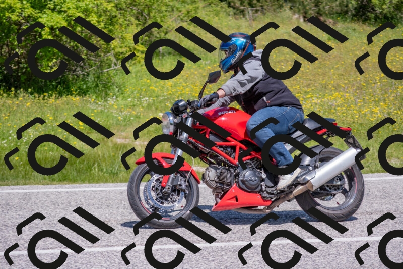 202506021147-DSC_8220_c4_