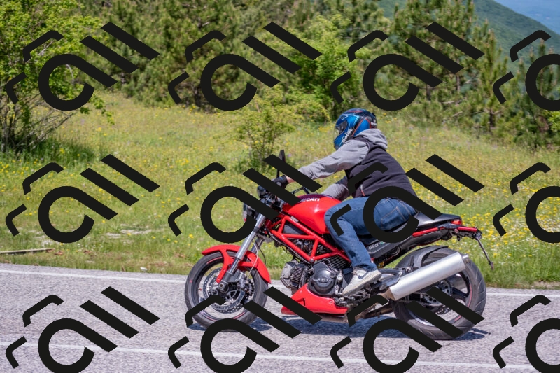 202506021147-DSC_8221_c4_