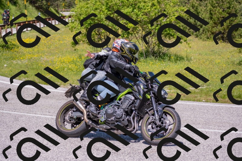 202506021148-DSC_8227_c4_