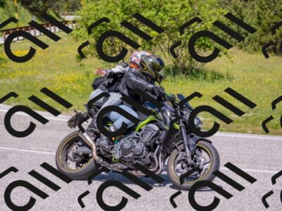 202506021148-DSC_8227_c4_