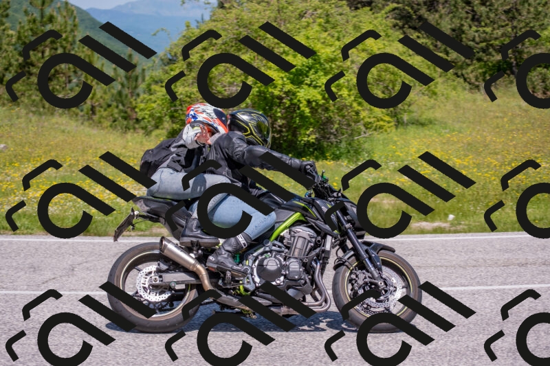 202506021148-DSC_8228_c4_