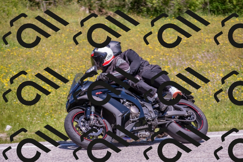 202506021148-DSC_8230_c4_