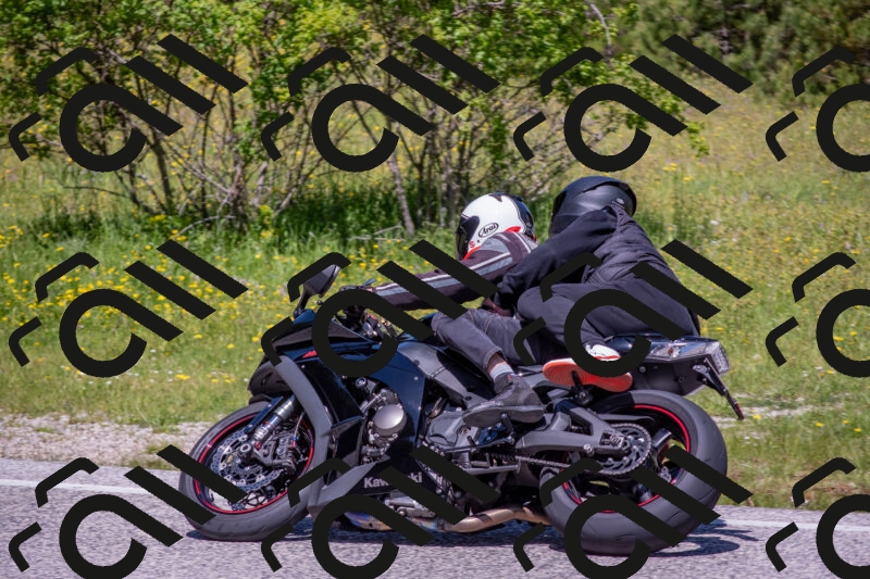 202506021148-DSC_8231_c4_