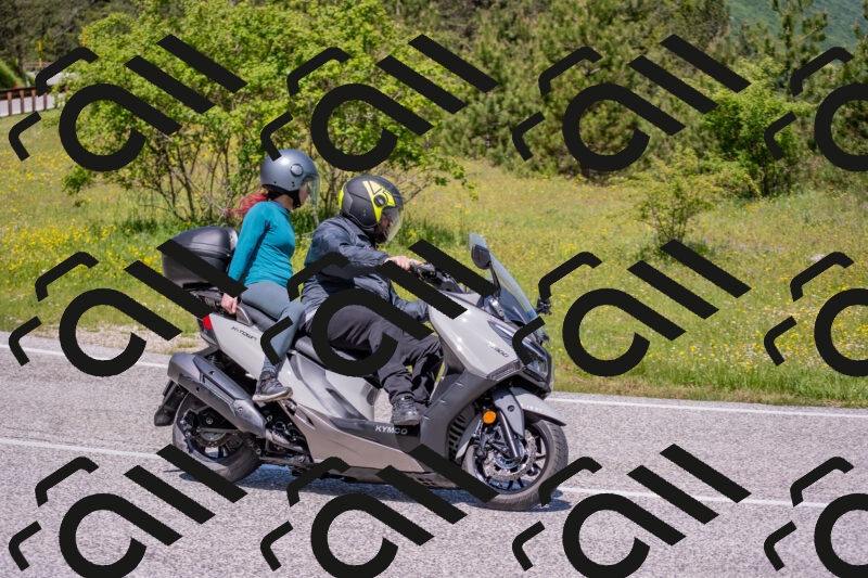 202506021148-DSC_8232_c4_