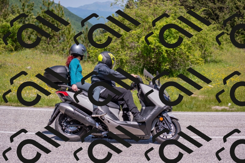 202506021148-DSC_8233_c4_