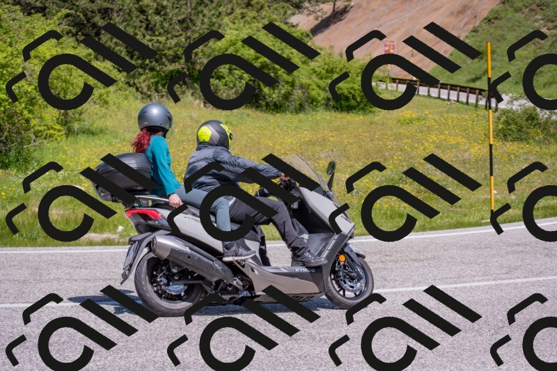 202506021148-DSC_8234_c4_