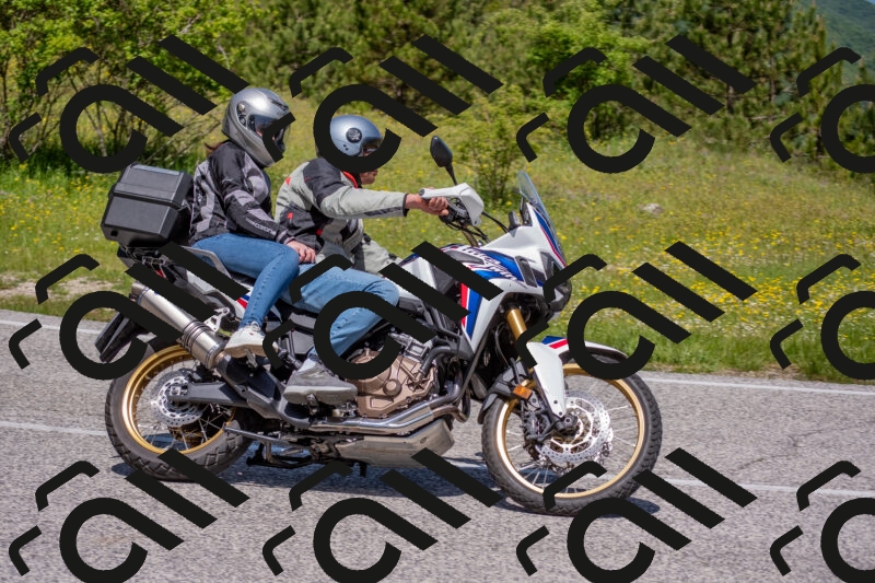 202506021148-DSC_8236_c4_