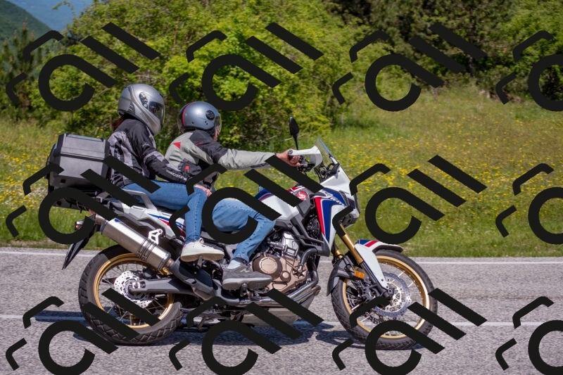 202506021148-DSC_8237_c4_