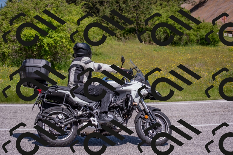 202506021149-DSC_8240_c4_