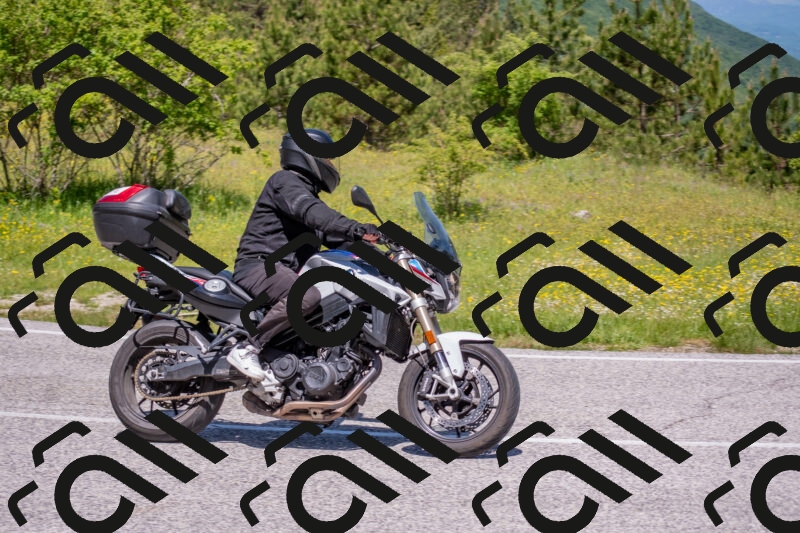 202506021149-DSC_8244_c4_