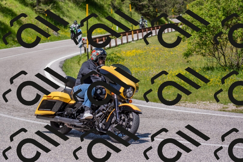 202506021149-DSC_8245_c4_