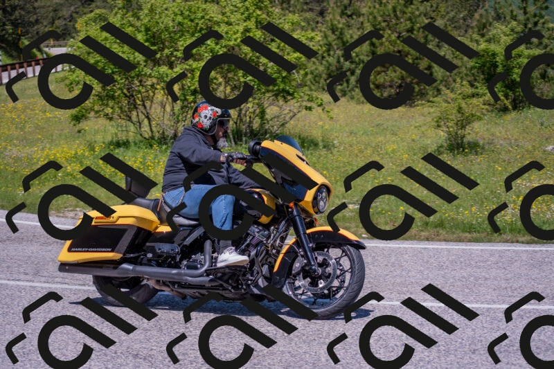 202506021149-DSC_8246_c4_