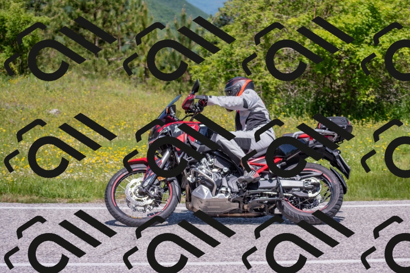 202506021149-DSC_8247_c4_