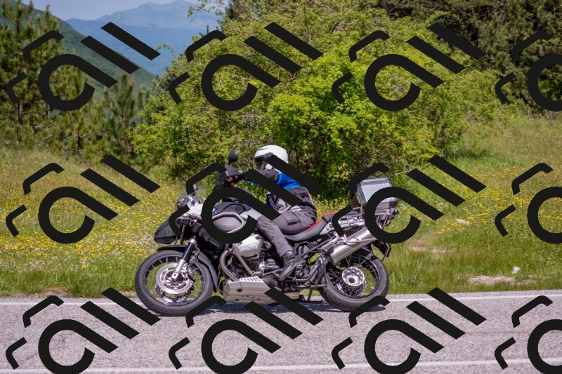 202506021149-DSC_8248_c4_