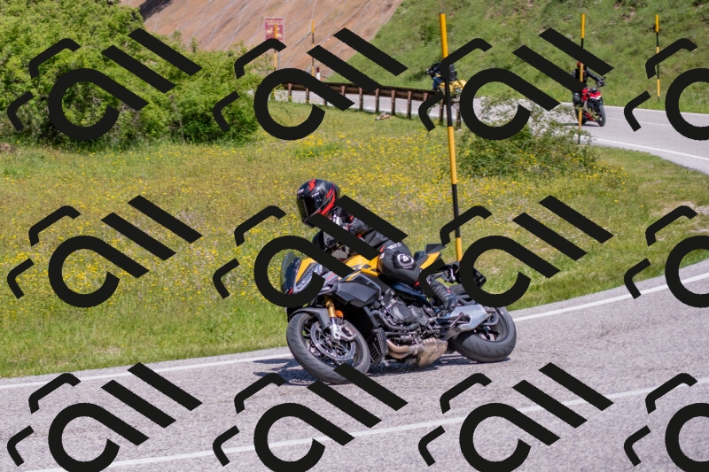 202506021149-DSC_8253_c4_