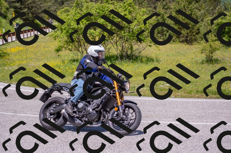 202506021149-DSC_8255_c4_