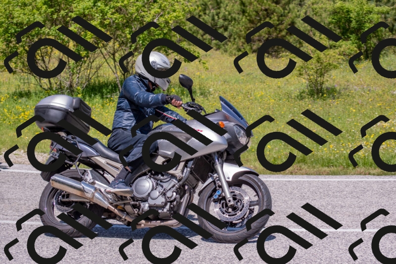 202506021149-DSC_8256_c4_