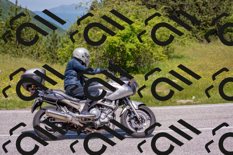 202506021149-DSC_8257_c4_