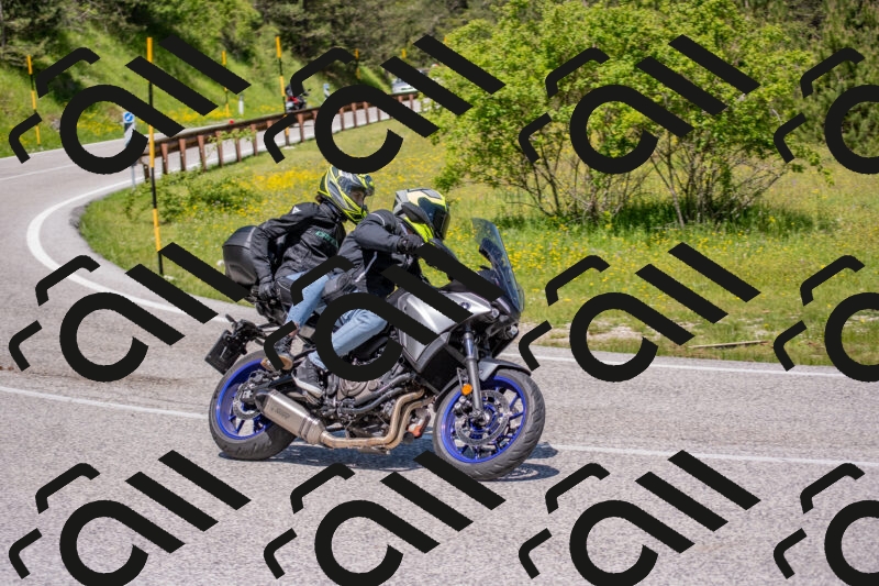 202506021149-DSC_8259_c4_