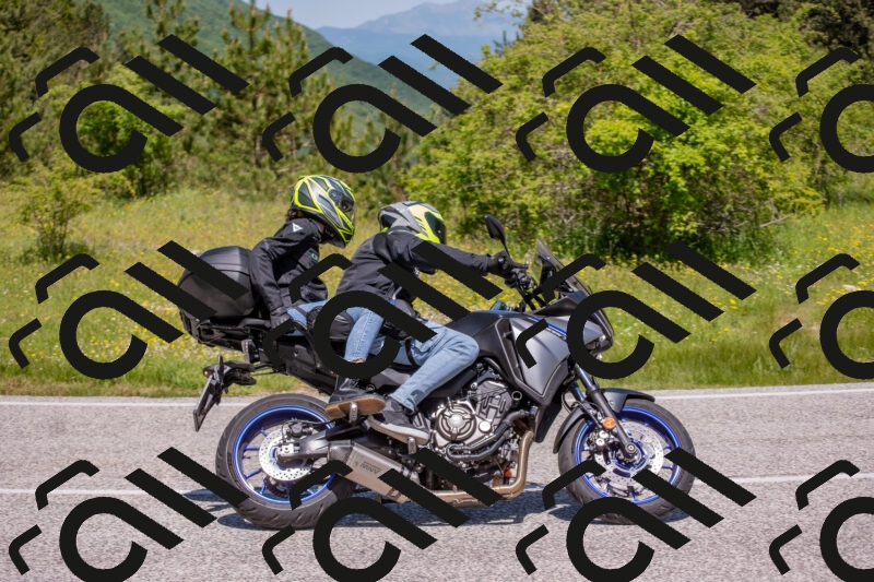 202506021149-DSC_8260_c4_