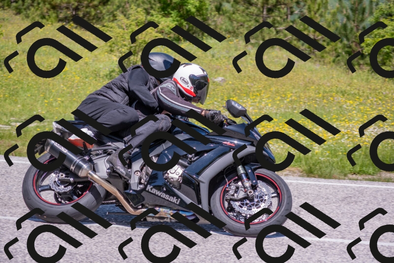 202506021150-DSC_8262_c4_