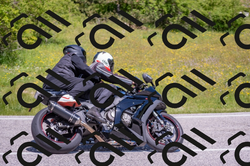 202506021150-DSC_8263_c4_