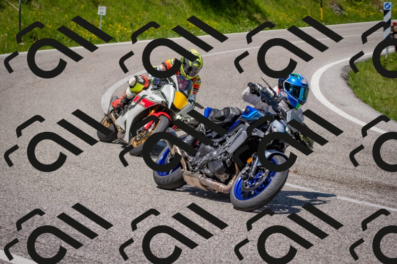 202506021150-DSC_8265_c4_