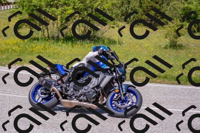 202506021150-DSC_8266_c4_