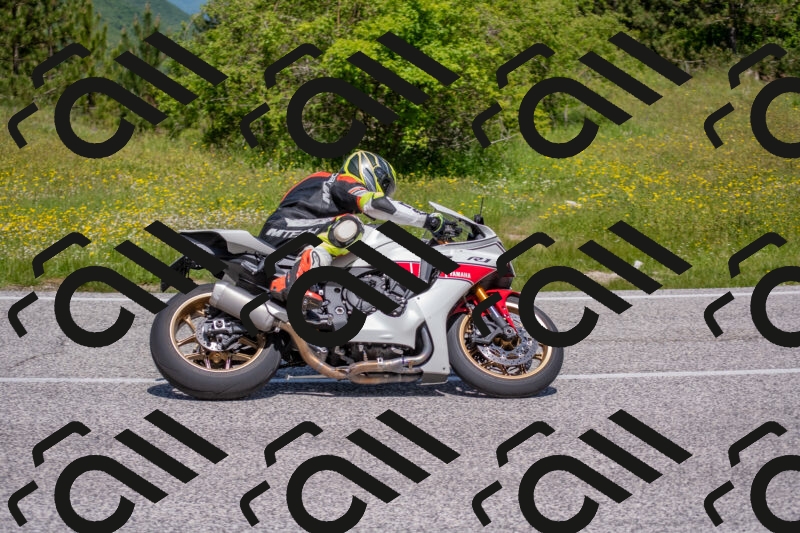 202506021150-DSC_8267_c4_