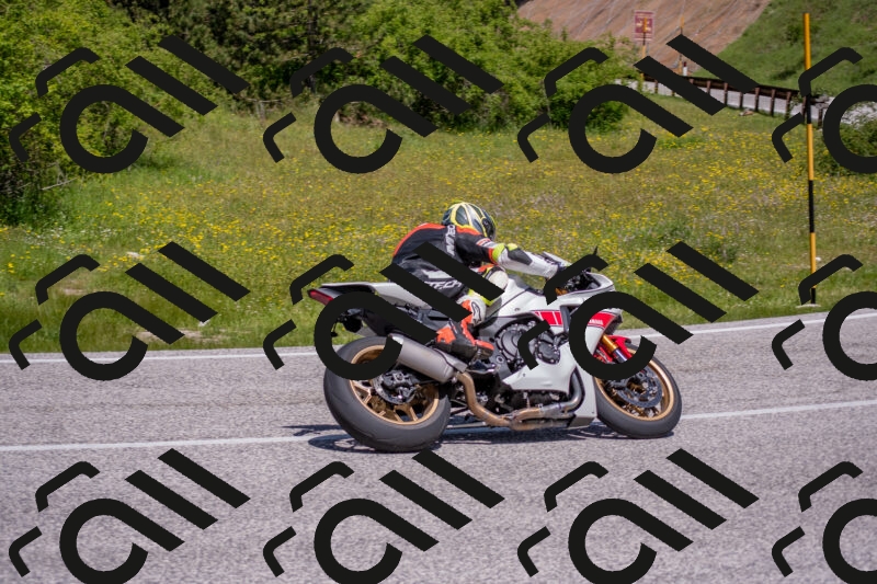 202506021150-DSC_8268_c4_