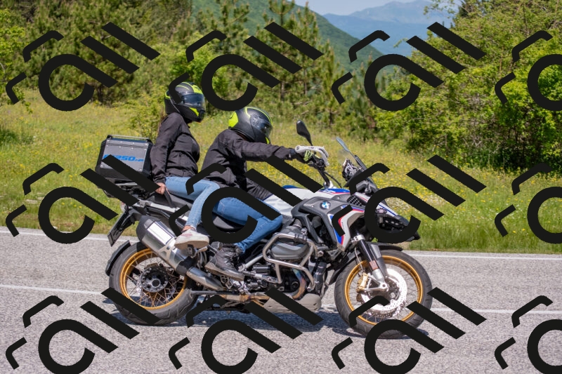 202506021150-DSC_8271_c4_