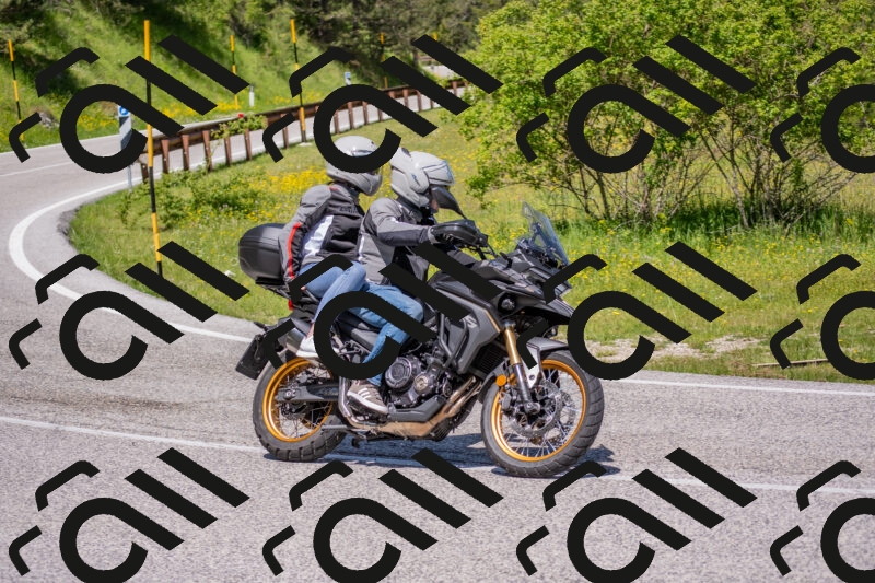 202506021150-DSC_8272_c4_