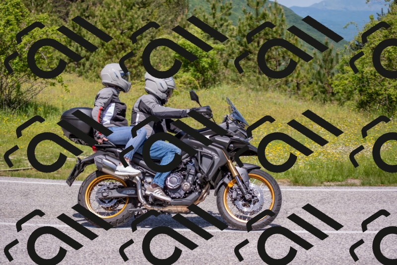 202506021150-DSC_8273_c4_