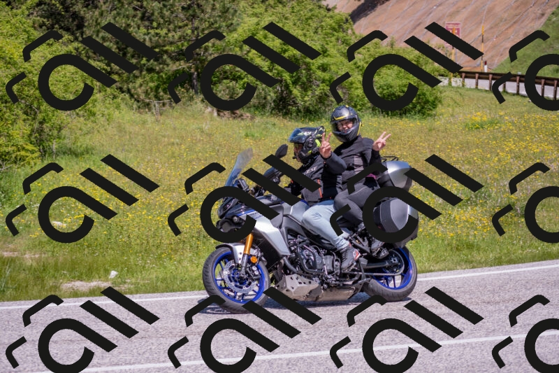 202506021150-DSC_8280_c4_