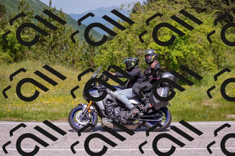 202506021151-DSC_8281_c4_