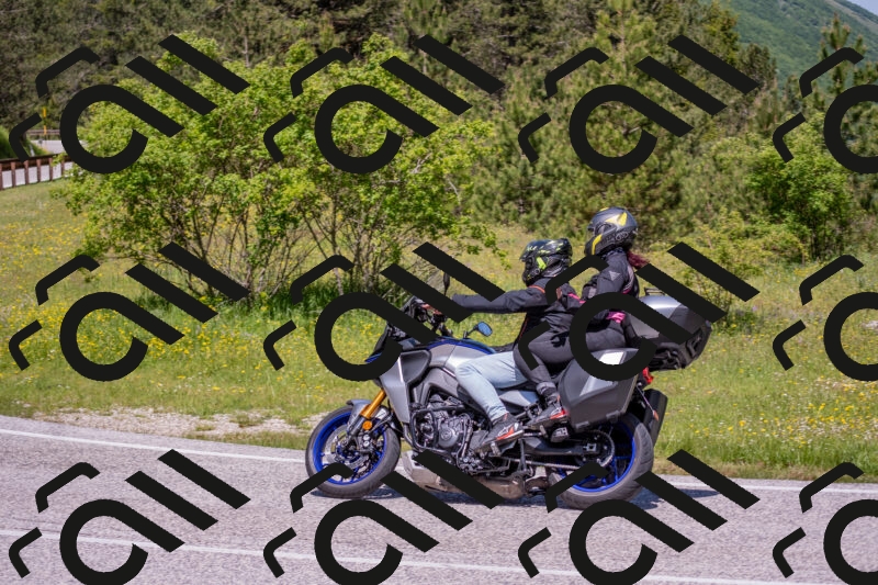 202506021151-DSC_8282_c4_