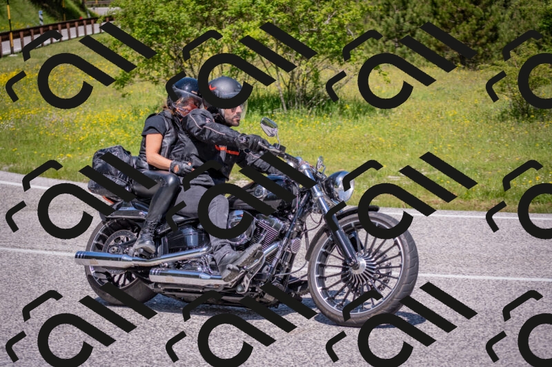 202506021151-DSC_8284_c4_