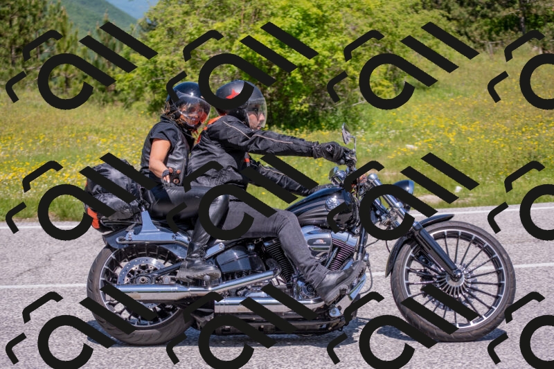 202506021151-DSC_8285_c4_