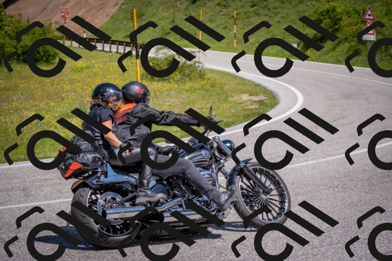 202506021151-DSC_8286_c4_