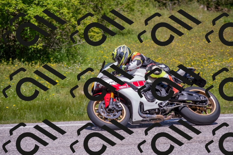 202506021151-DSC_8289_c4_