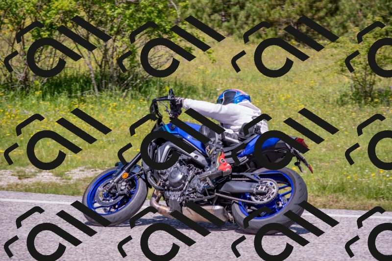 202506021151-DSC_8295_c4_