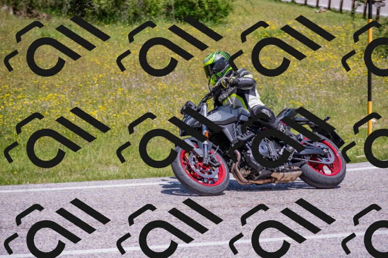 202506021151-DSC_8298_c4_