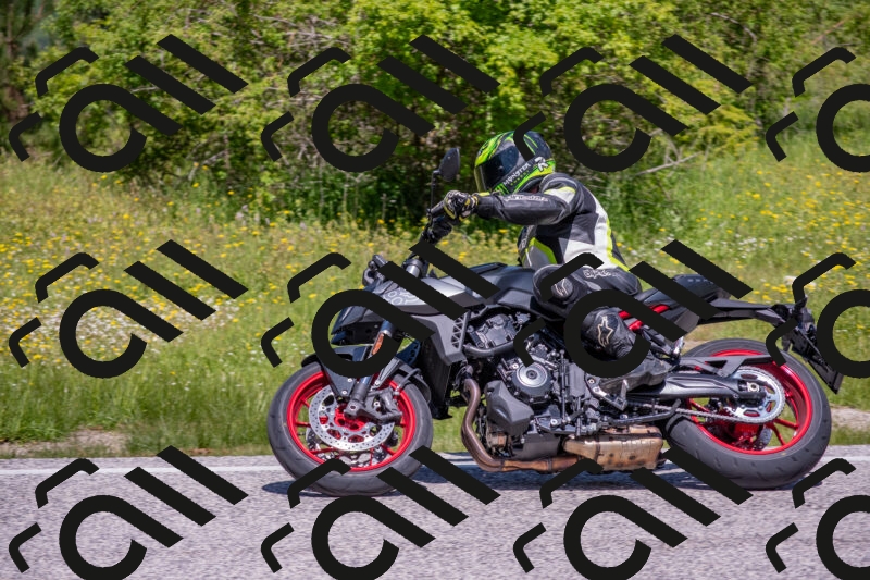 202506021151-DSC_8299_c4_