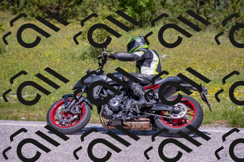 202506021151-DSC_8300_c4_